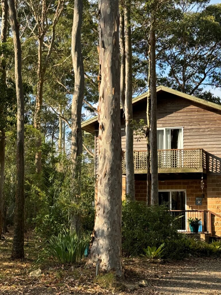 Img 1597 Crunched V3